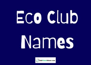 Read more about the article 360 Eco Club Names