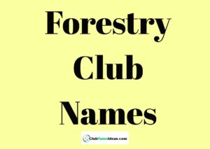 Read more about the article 324 Forestry Club Names