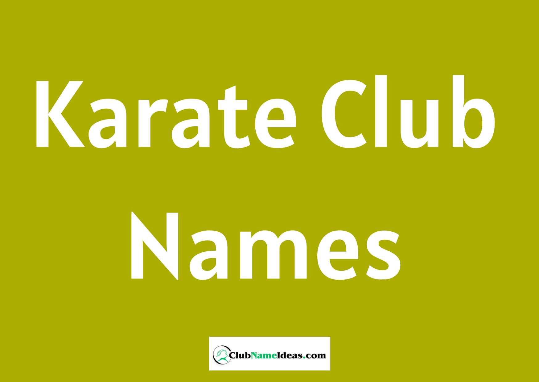 Karate Club Names