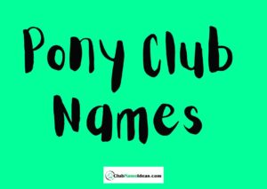 Read more about the article 368 Pony Club Names