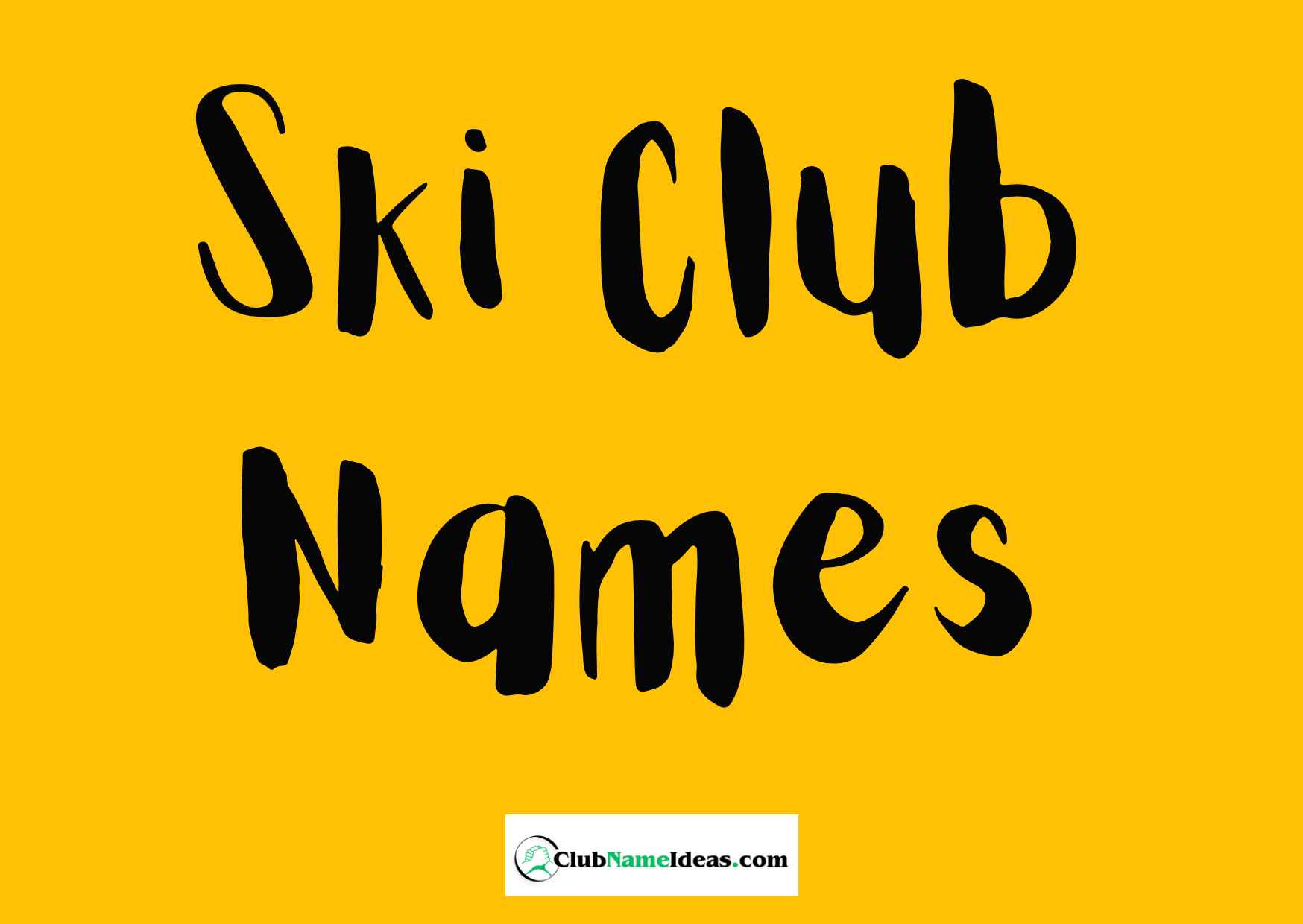 Read more about the article 416 Ski Club Names