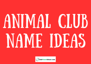 Read more about the article 310 Animal Club Name Ideas