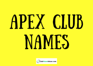 Read more about the article 416 Apex Club Names