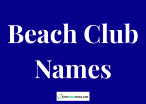 Read more about the article 297 Beach Club Names