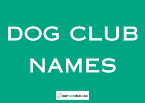 Read more about the article 290 Dog Club Names