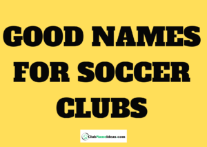 Read more about the article 377 Good Names for Soccer Clubs