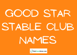 Read more about the article 465 Good Star Stable Club Names