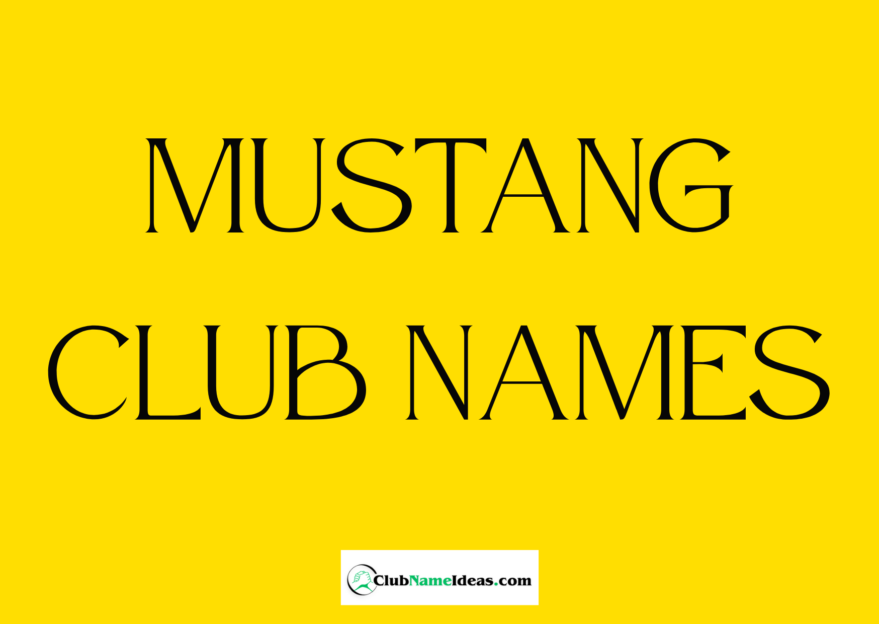 Read more about the article 444 Mustang Club Names